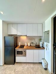 Haig 162 (D15), Apartment #501990401